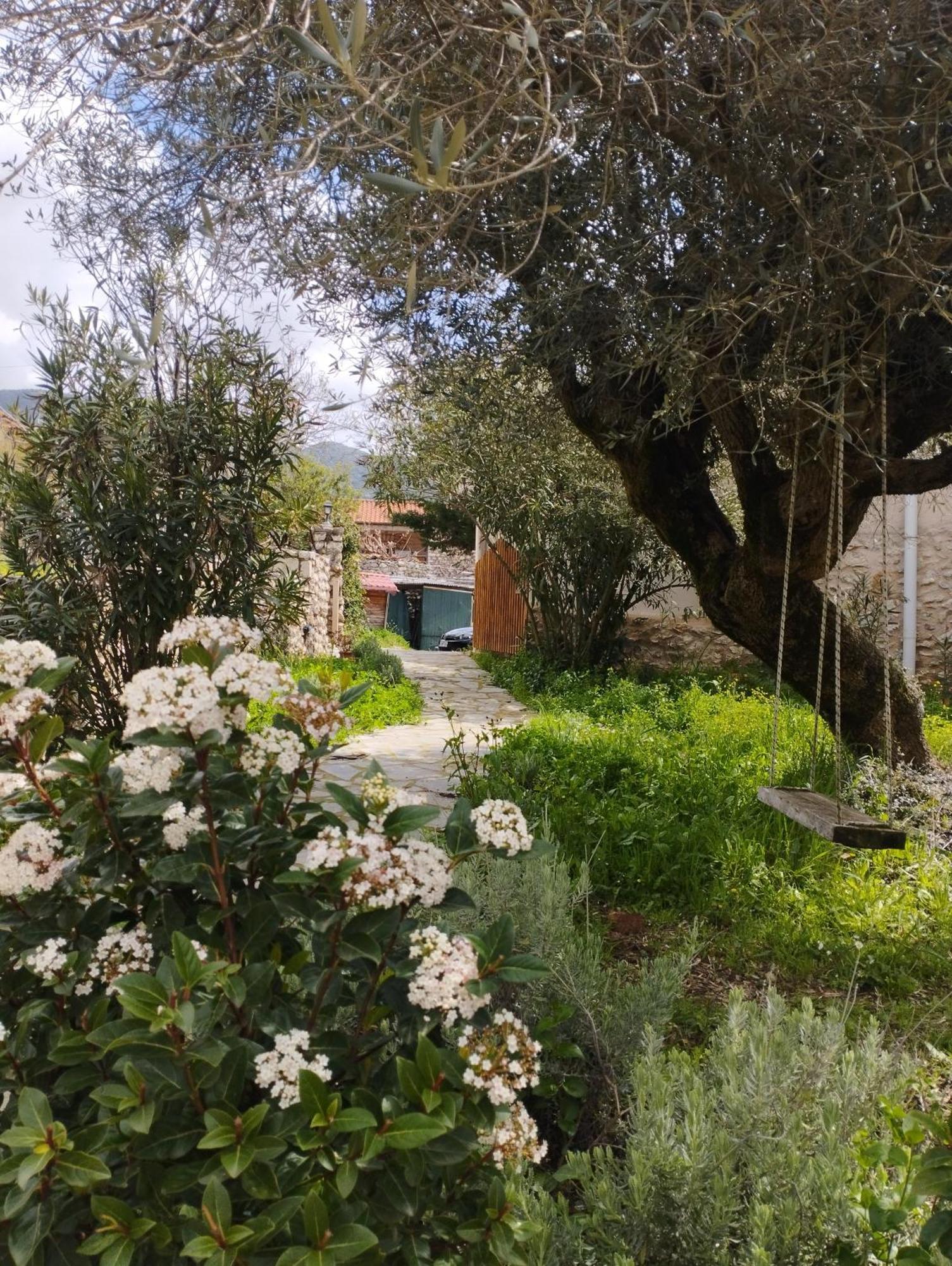 Sofias Cottage Elliniko  Exterior photo